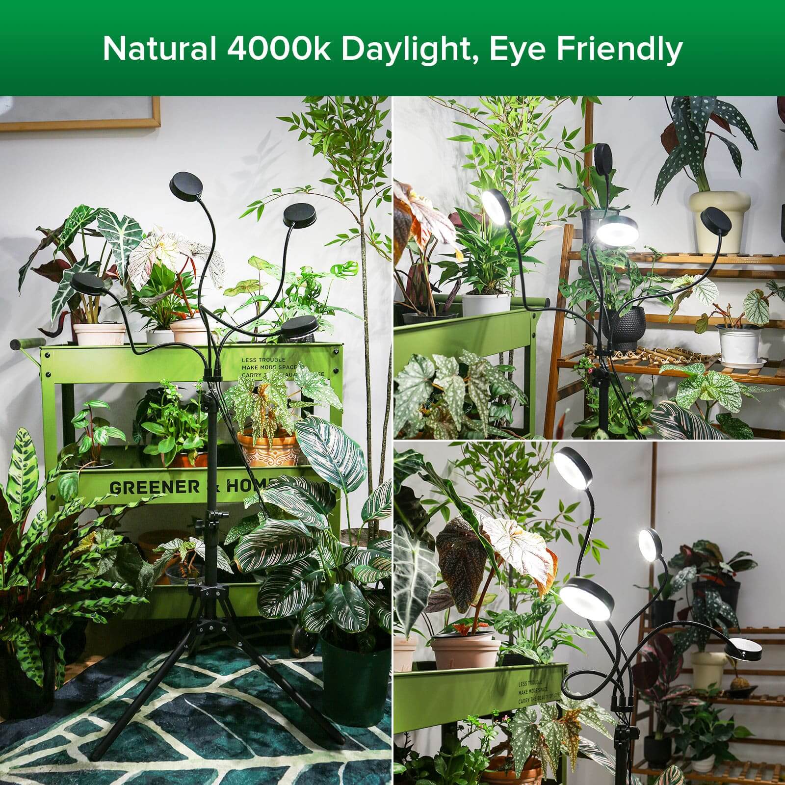40W 4-Head Adjustable Tripod Stand Grow Light with Remote Control,natural 4000k daylight, eye friendly.