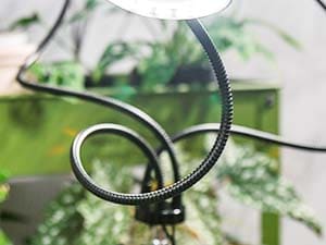 360° Adjustable Gooseneck: 360° adjustable gooseneck and 180° rotatable light panels allow for versatile lighting angles to support your plants' growth.