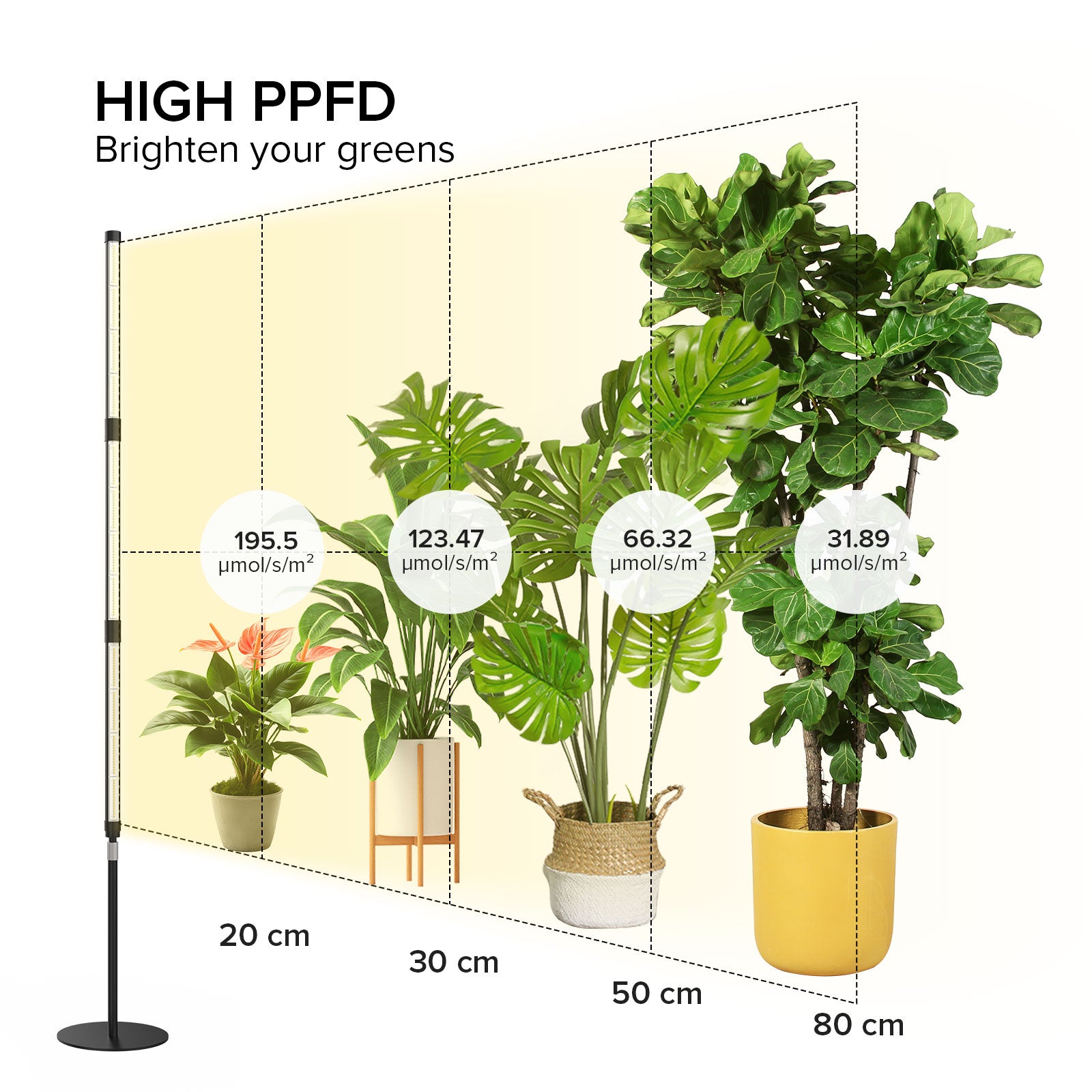 SANSI T10 Pro 55W LED Standing Grow Light (EU/UK ONLY)