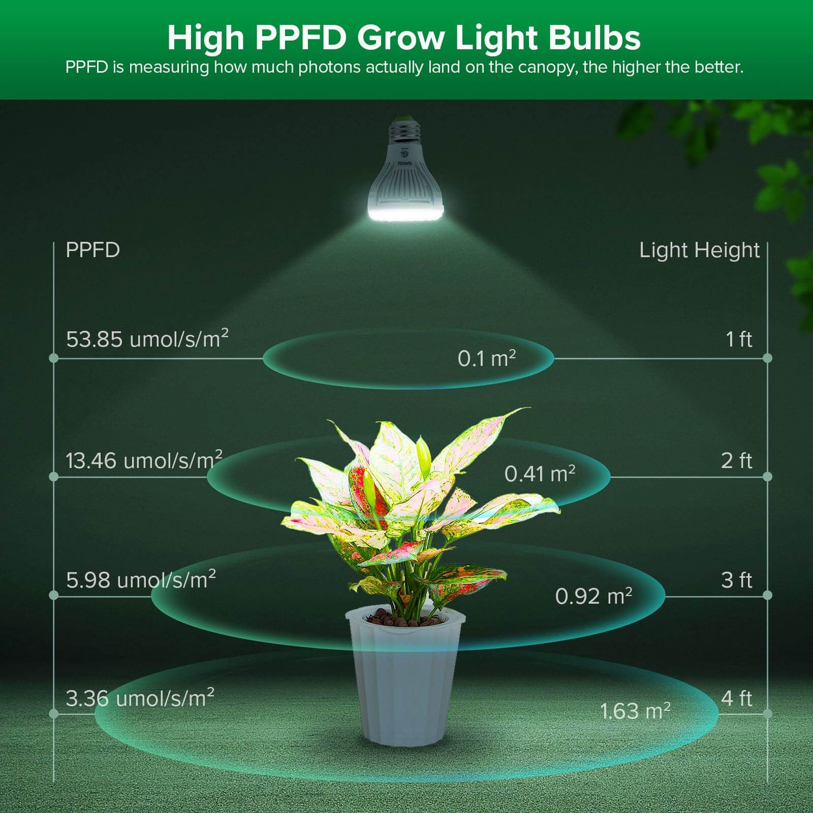 High PPFD Grow Light Bulbs:PPFD is measuring how much photons actually land on the canopy, the higher the better.