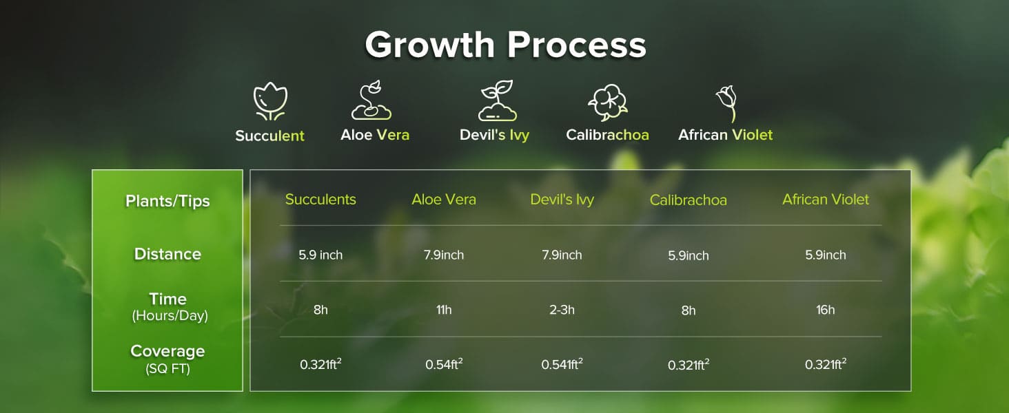 Widely Used for Different Indoor Plants.