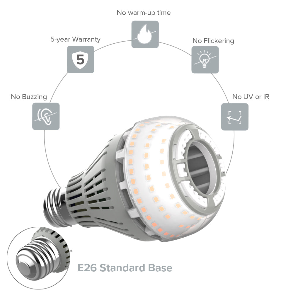 SGLEDs A21 22W Led Light Bulb