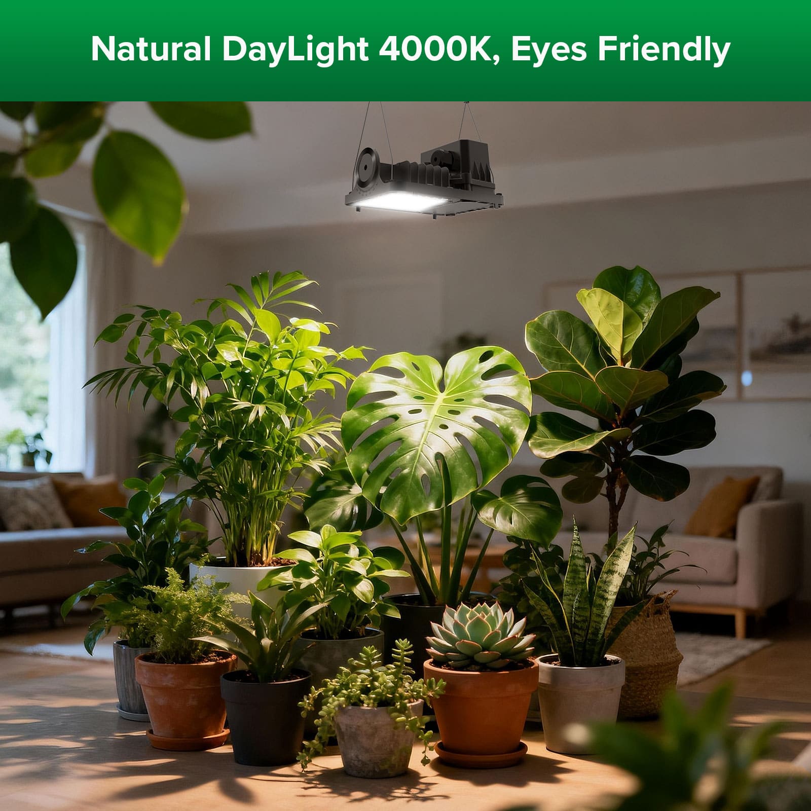 SANSI 70W LED-Panel-Pflanzenlampe | Fernbedienung
