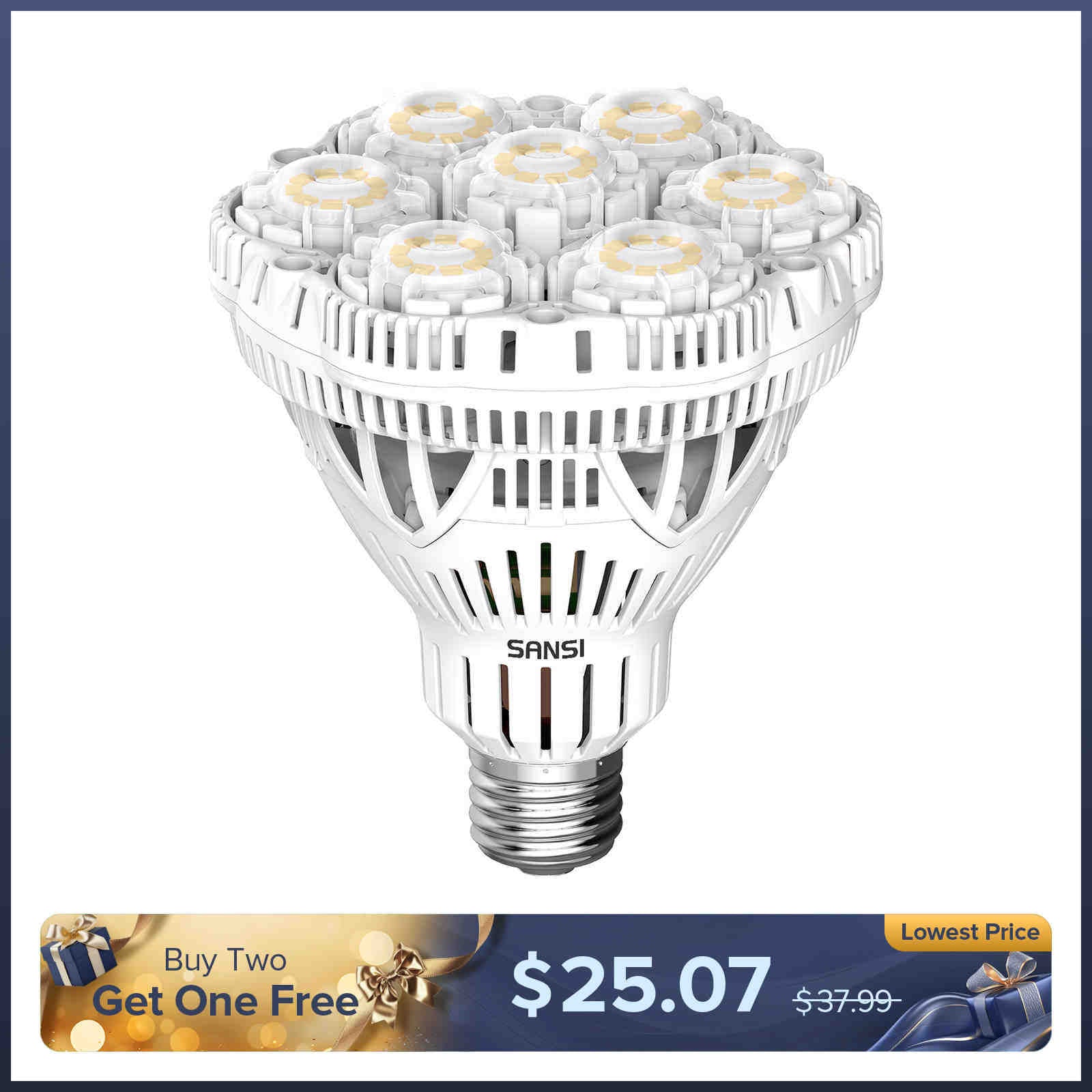 BR30 40W LED Light Bulb