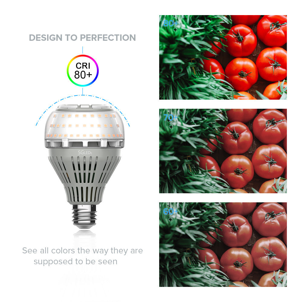 SGLEDs A21 22W Led Light Bulb,CRI 80+.