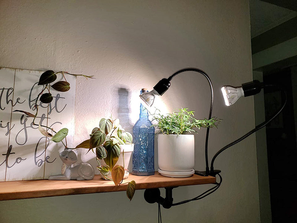 20W Adjustable 2-Head Clip-on LED Grow Light is clipped on the plant shelf，the shadows reflected by the light on the plants are particularly beautiful on the walls.