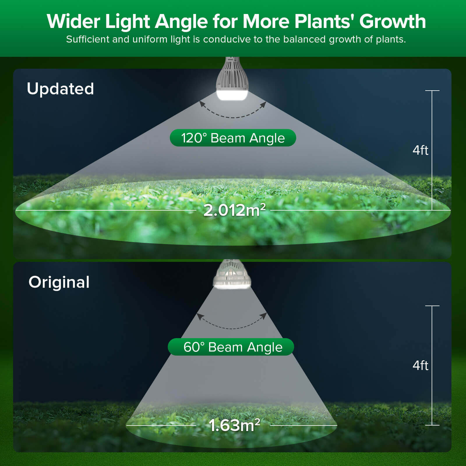 Wider Light Angle for More Plants' Growth:Sufficient and uniform light is conducive to the balanced growth of plants.