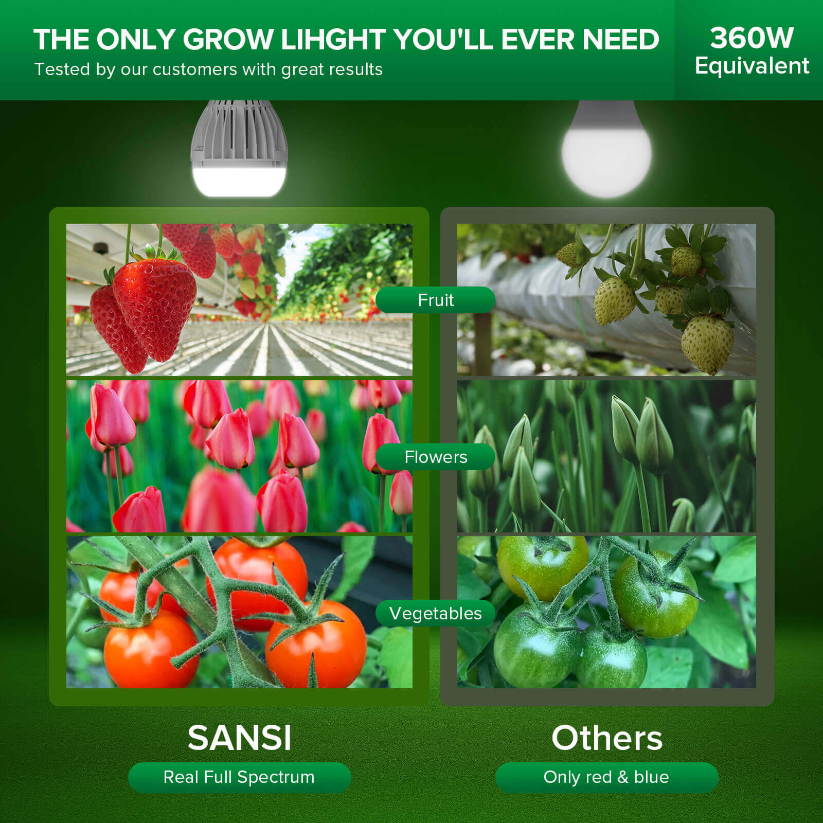 A21 24W LED Grow Light Bulb (US/CA ONLY)