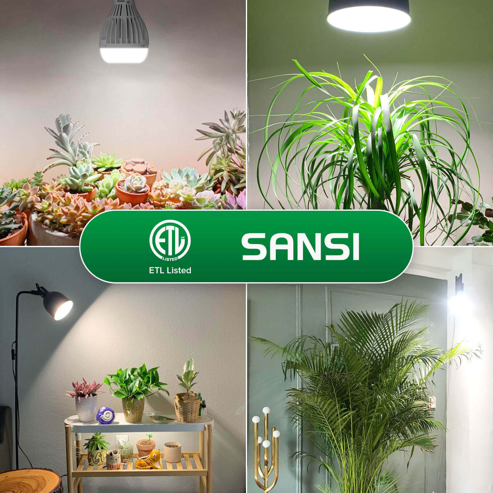 A21 24W LED Grow Light Bulb (US/CA ONLY)