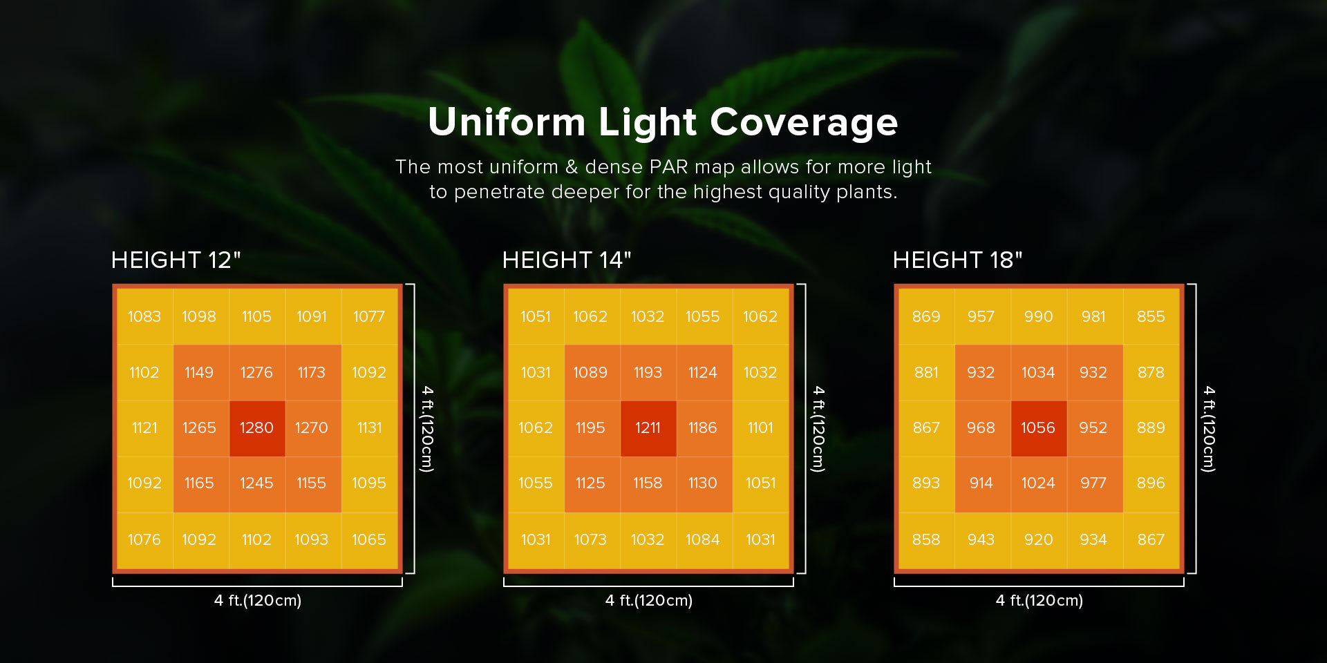 Uniform Light Coverage：The most uniform & dense PAR map allows for more light to penetrate deeper for the highest quality plants.