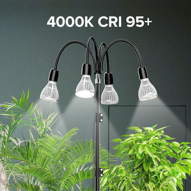 Grow Light with Adjustable Tripod Stand with 4000K CRI+ 95+