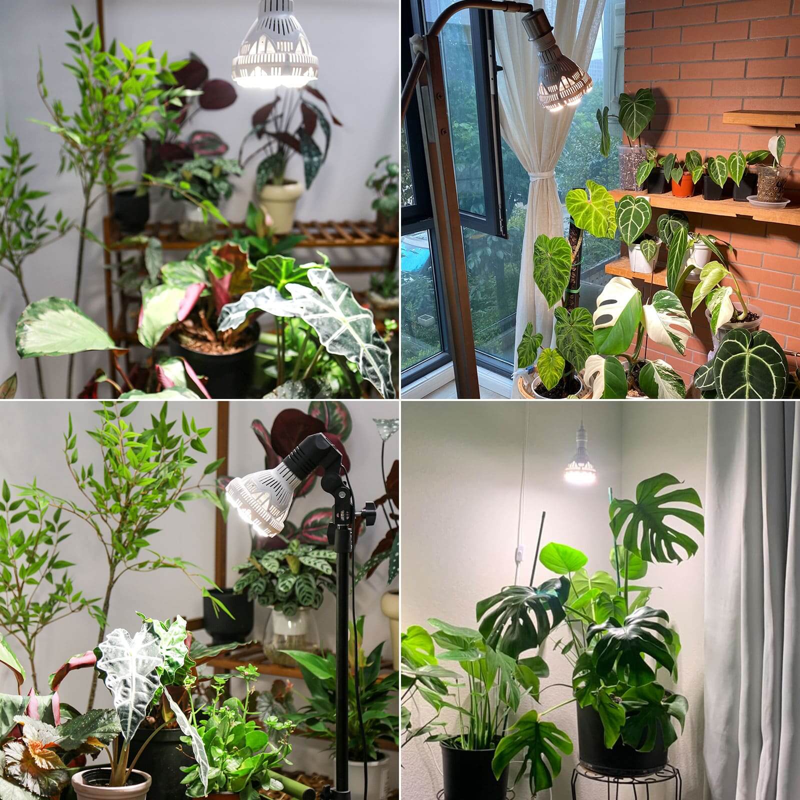 Lampadina LED per coltivazione BR30 da 30 W con telecomando (SOLO USA/CA)