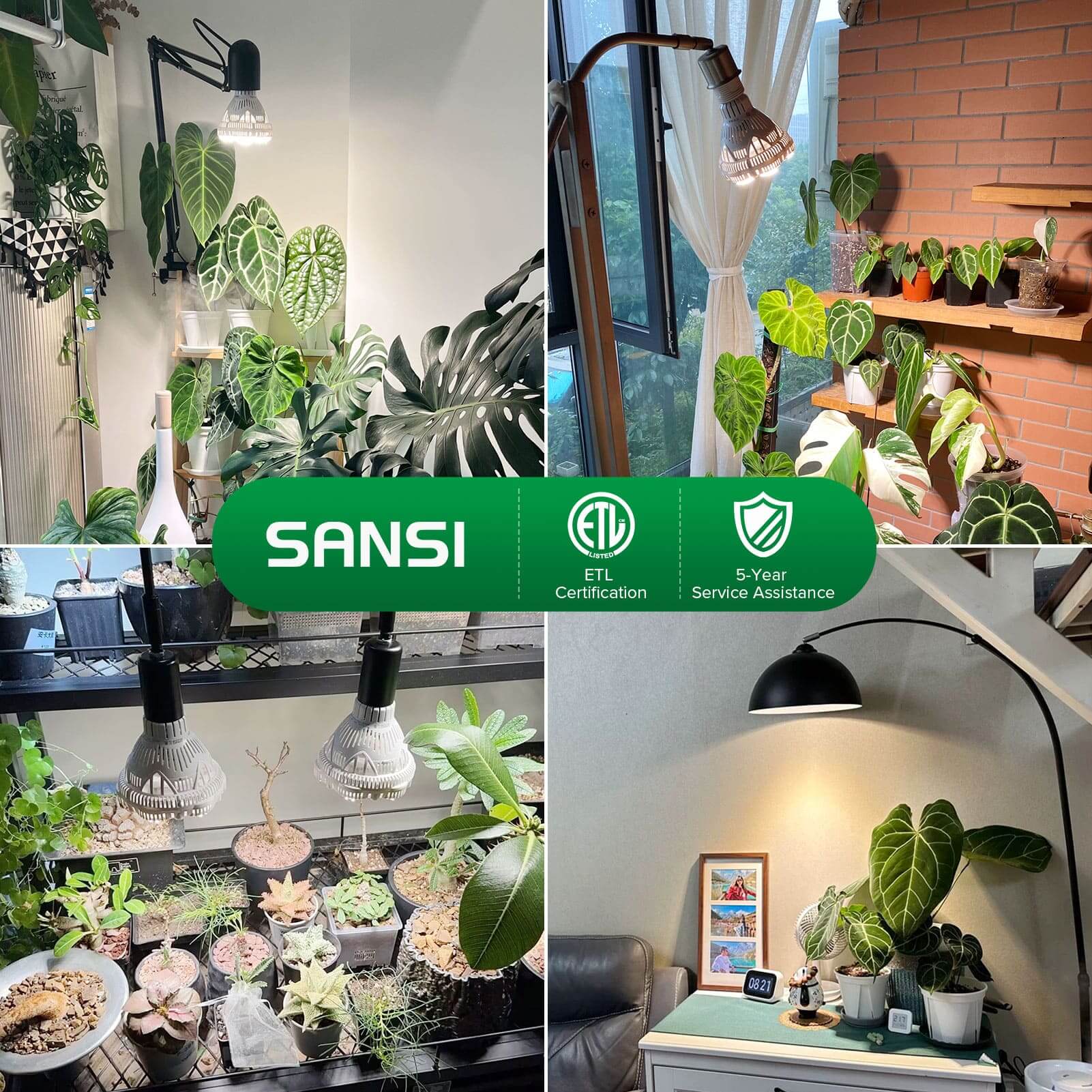 BR30 36W LED Grow Light Bulb with ETL listed, quality and safety verified, 5-year protection plan.