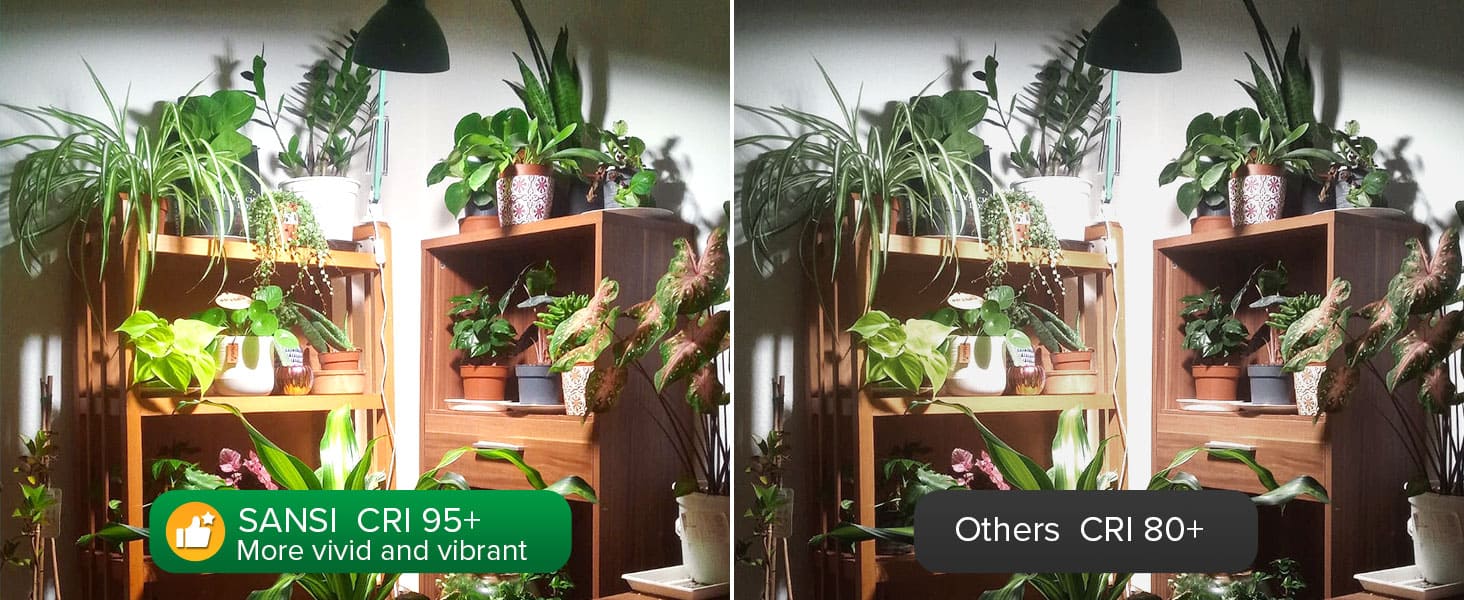 BR30 36W LED Grow Light Bulb with CRI 95+, more vivid and vibrant.