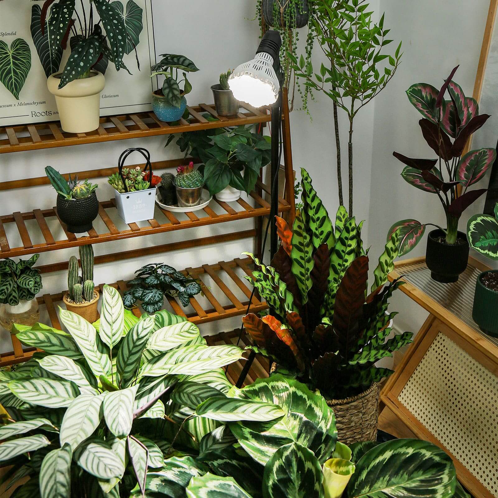 BR30 40W Adjustable Tripod Stand Grow Light with Remote Control.