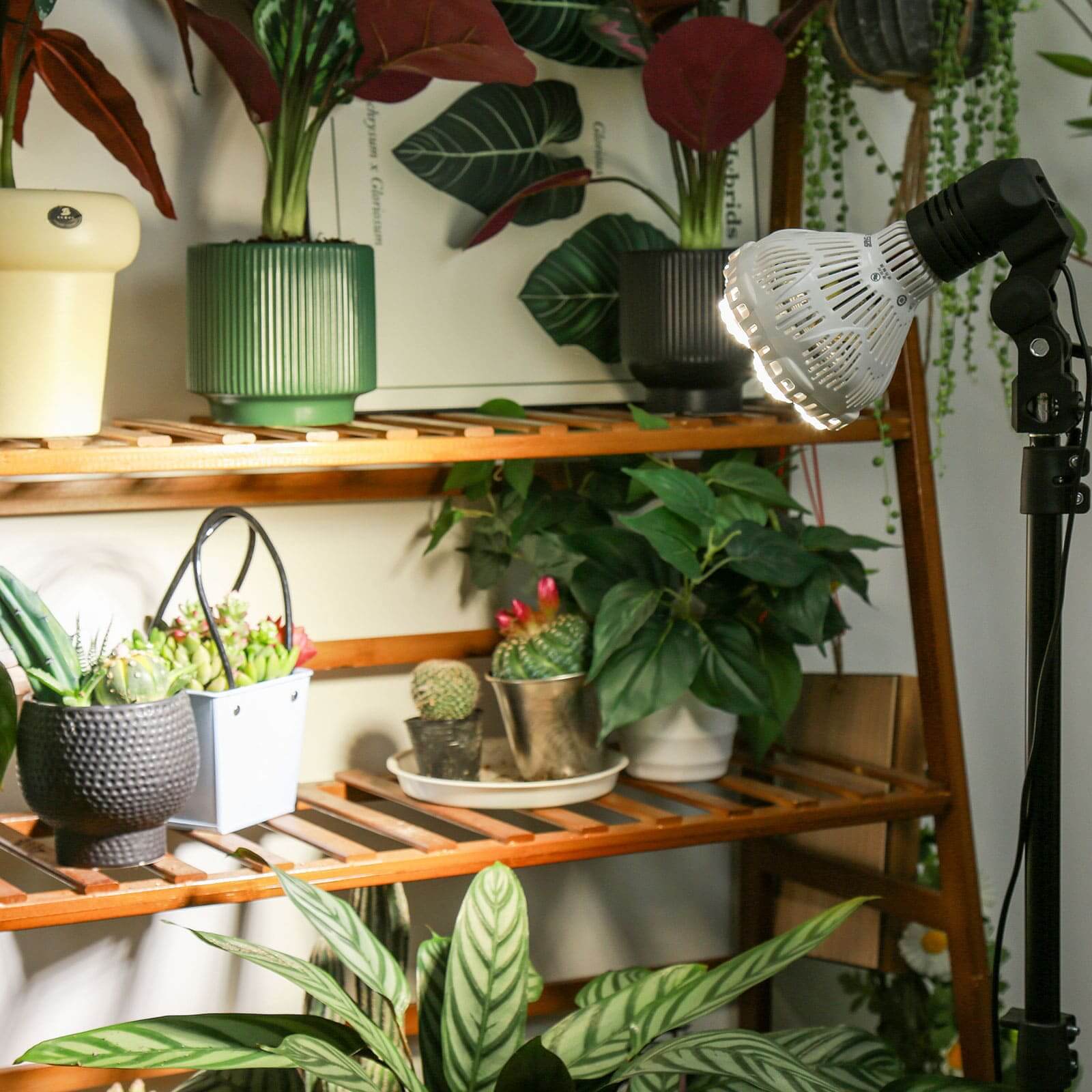 BR30 40W Adjustable Tripod Stand Grow Light with Remote Control.