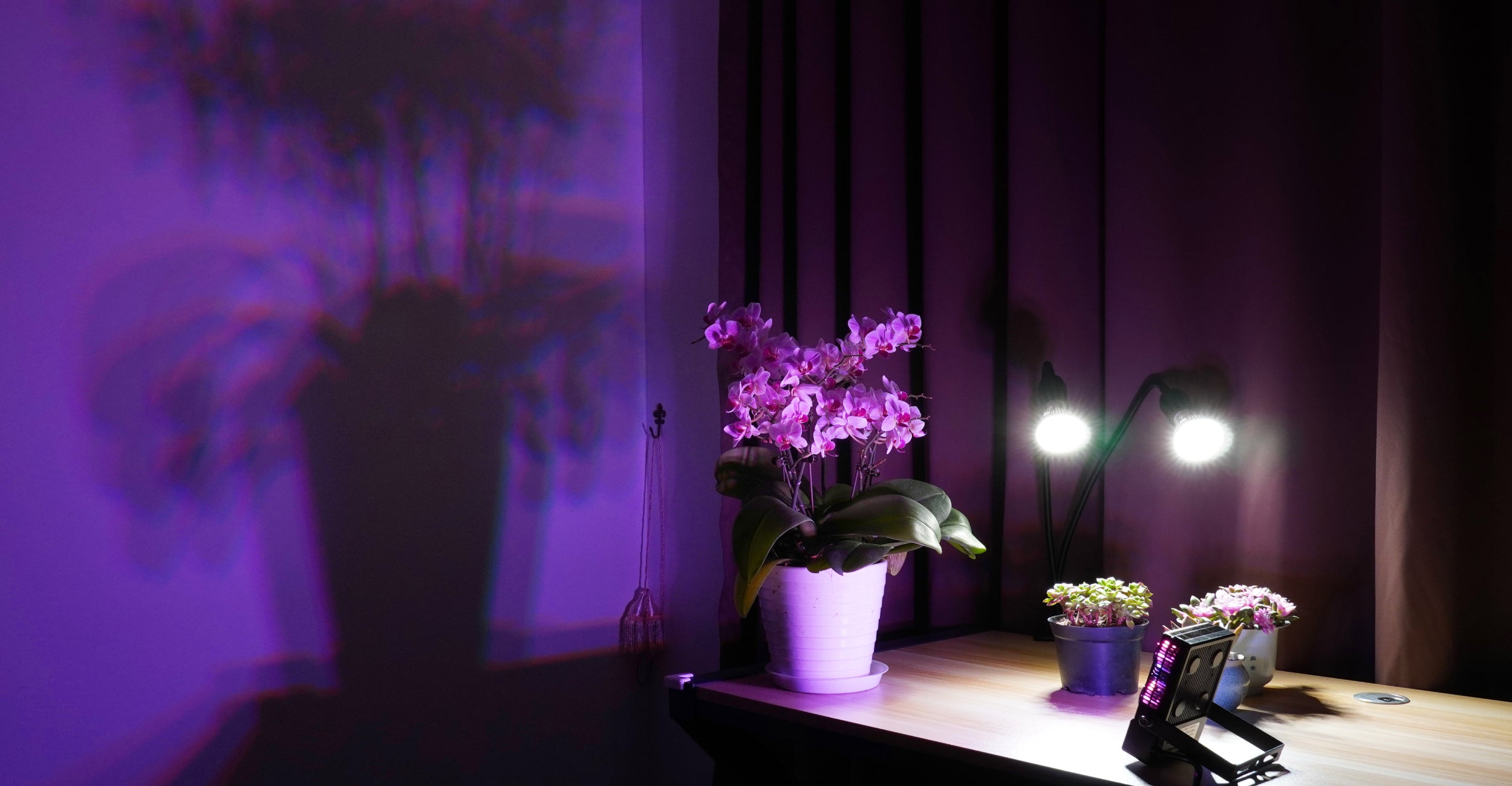 The clever placement of plant grow lights and flood lights can present the shadow of plants on the wall, and the purple atmosphere color of flood lights is very good-looking.