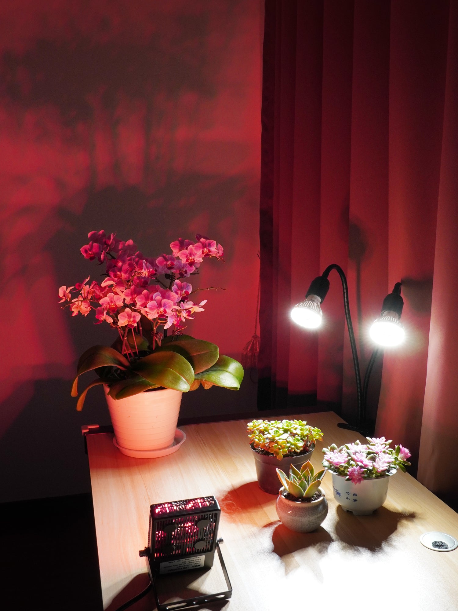 The clever placement of plant grow lights and flood lights can present the shadow of plants on the wall, and the red atmosphere color of flood lights is very good-looking.