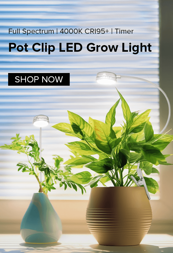 Pot Clip LED Grow Light，full Spectrum，4000K、CRI95+，Timer，lights can be clipped directly to the pot to give the plant light.