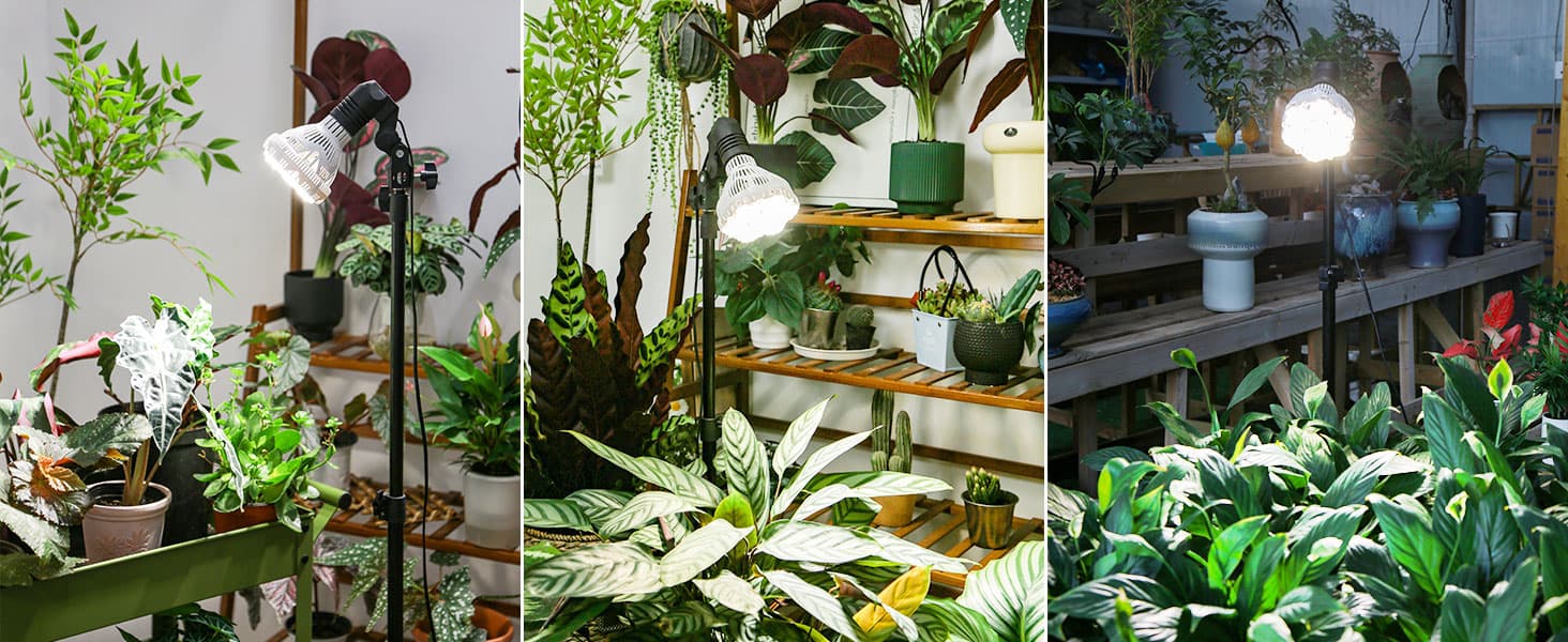 BR30 30W Adjustable Tripod Stand Grow Light with Remote Control, Rich application scenarios