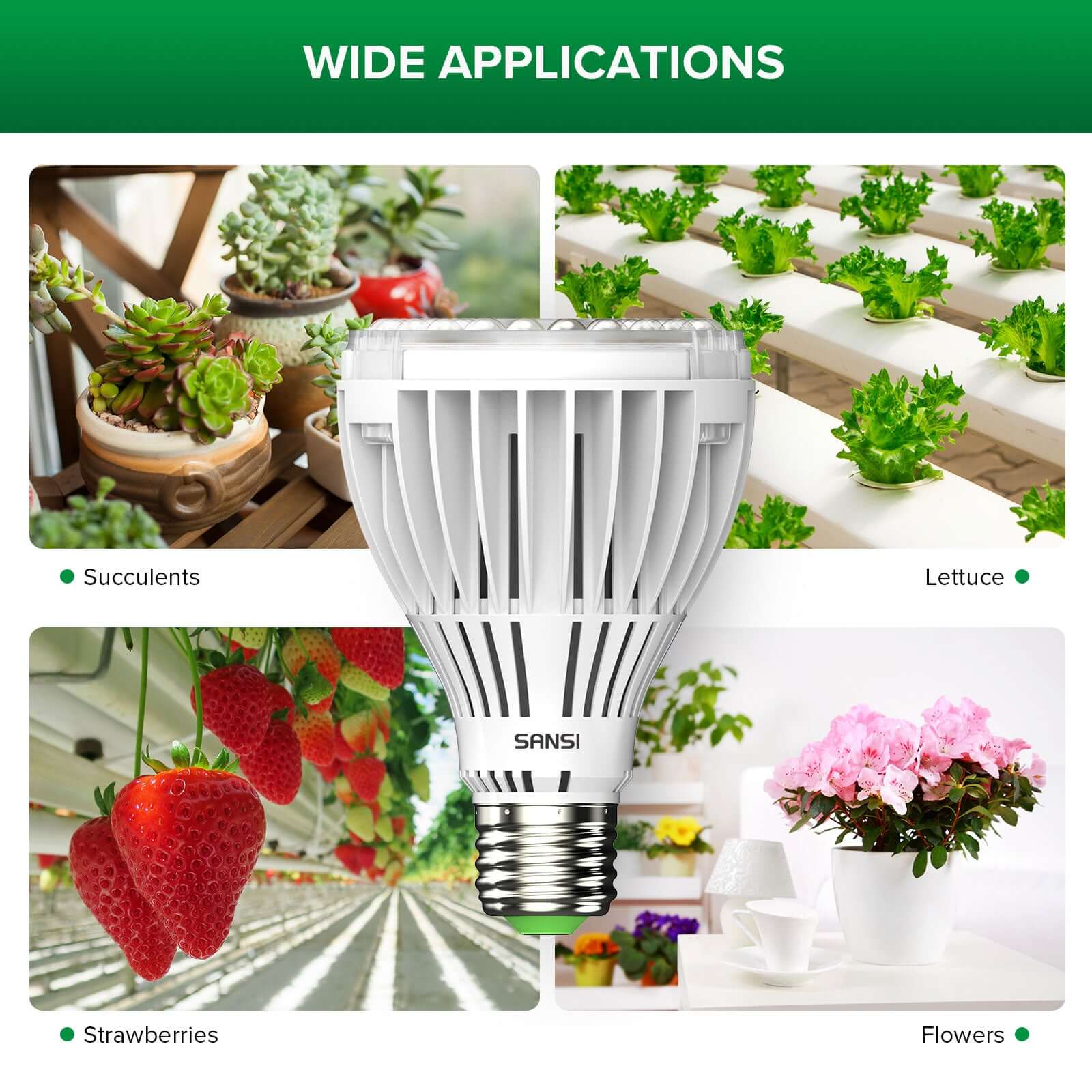 PAR25 30W LED-Wachstumslampe (NUR USA)