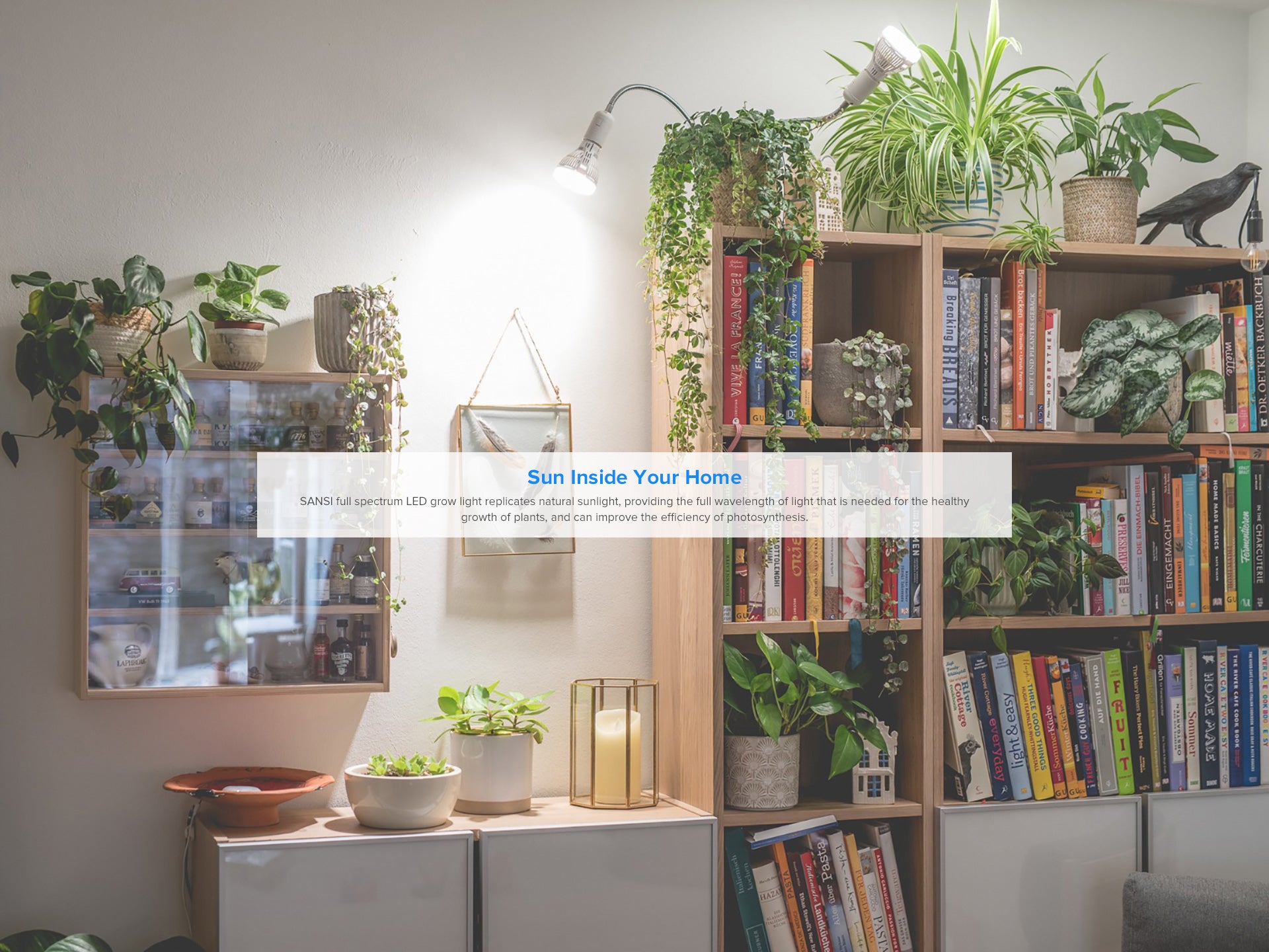 SANSI PAR20 10W led grow light bulb replicates natural sunshine, providing the full wavelength of light