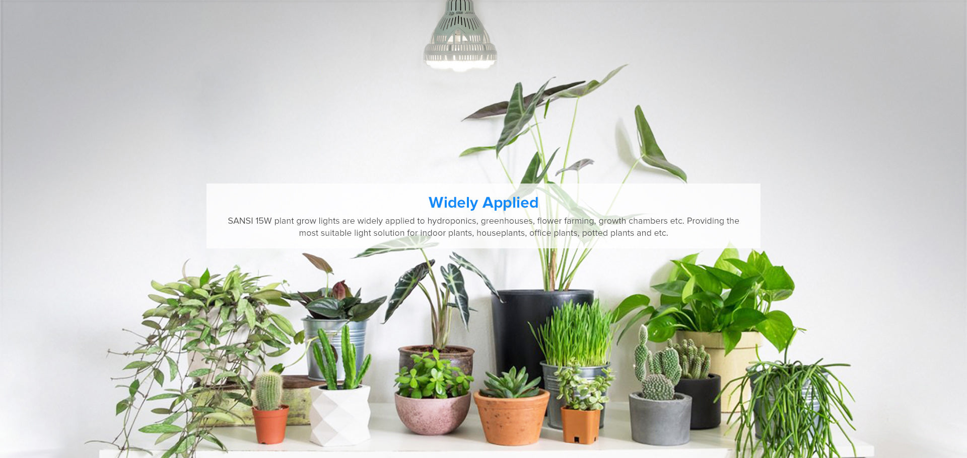 SANSI 15W PAR25 15W led grow light bulb are widely applied to hydroponics, greenhouse, flower farming, growth chambers. Providing the more suitable solution for indoor planting