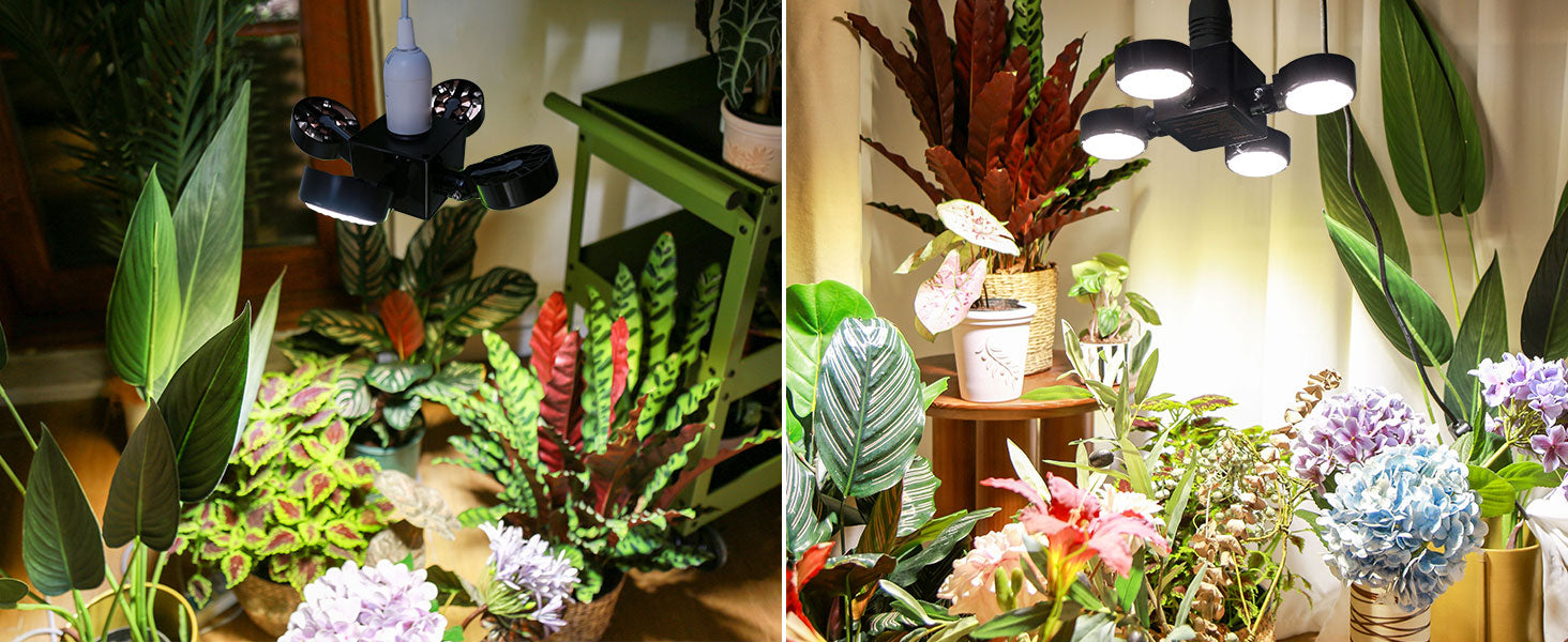 Two images of indoor plants and flowers with a focus on greenery and grow lights.