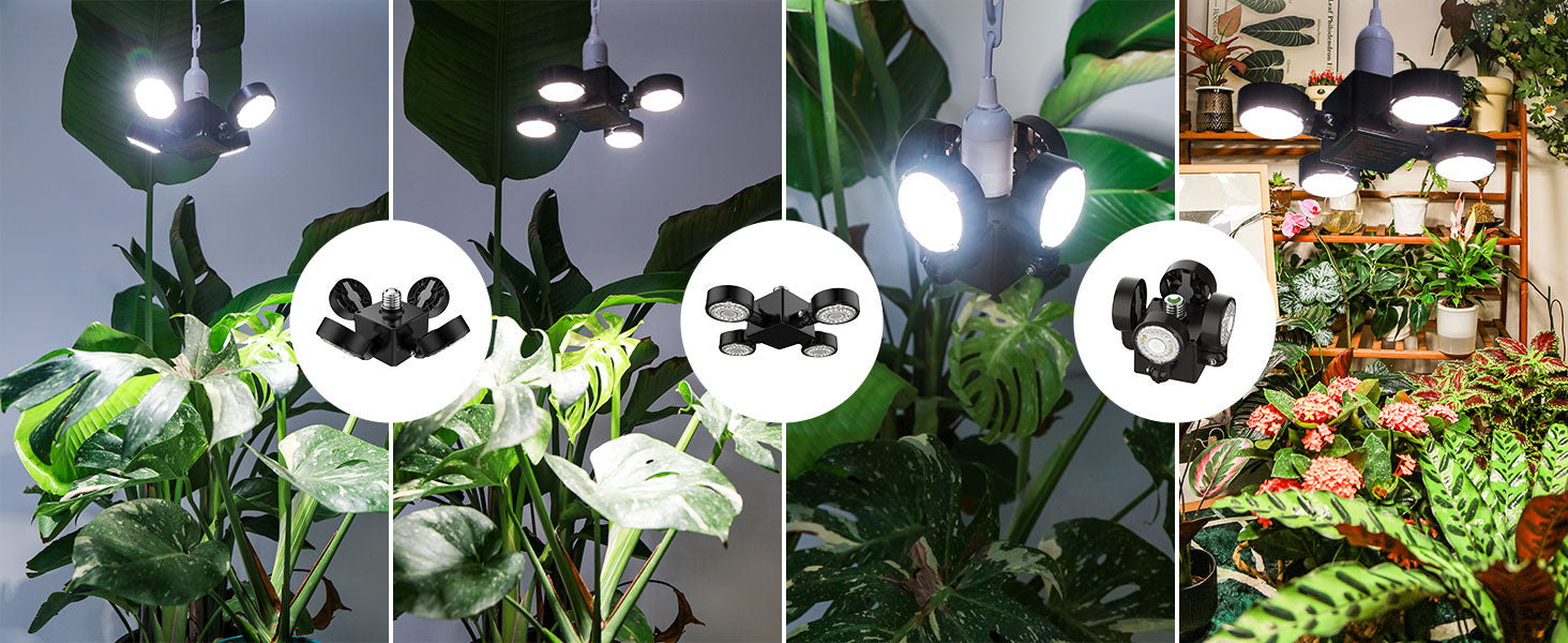 Collage of a grow light fixture in various settings with plants and flowers. Adjustable Wing-Shaped Plant Lamp for Wider Coverage Area