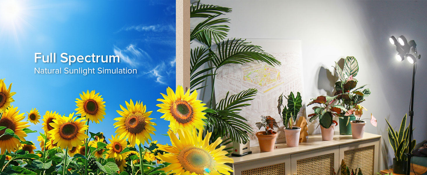 Sunflowers with 'Full Spectrum' text and indoor plants with SANSI grow light.