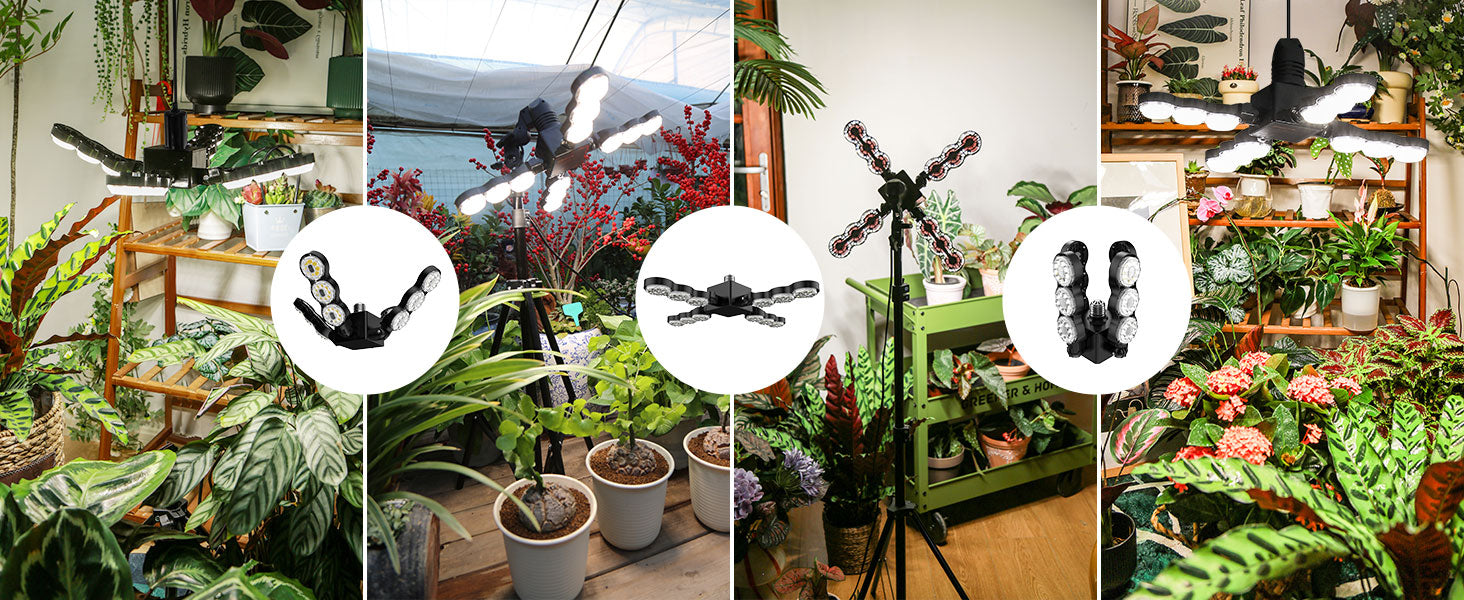 Collage of a drone flying over a plant store with various plants and shelves.
