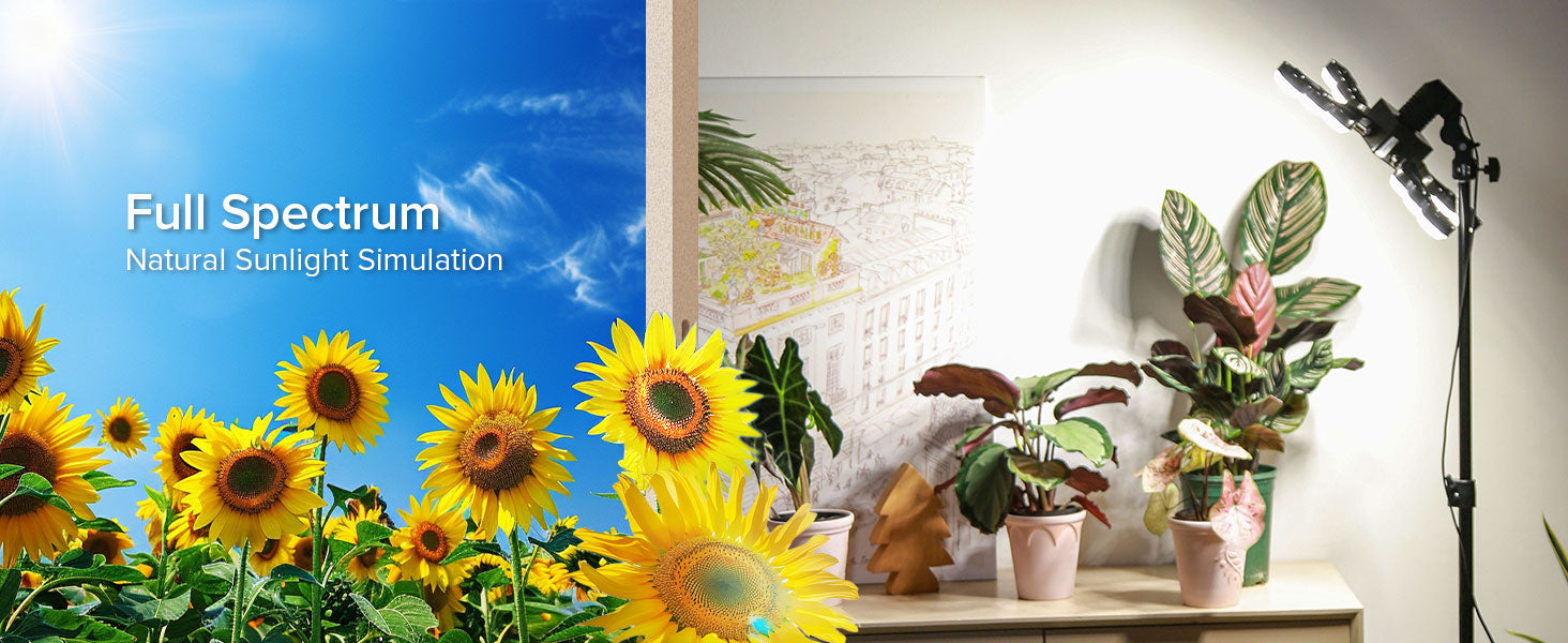 Sunflowers with 'Full Spectrum' text and indoor plants with SANSI grow light.