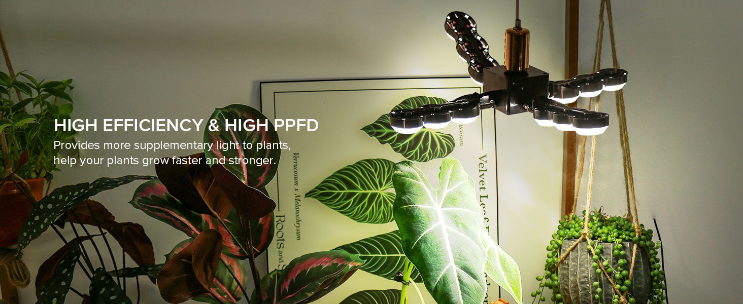 Modern indoor plant light fixture with plants and a framed picture in the background.