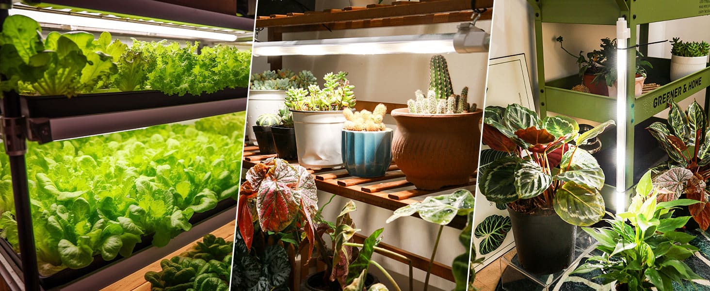Ideal for indoor use on plant shelves, cabinets, walls, greenhouse, and other places in the home/office space. The power cord is 6ft long, which is quite enough for indoor use.