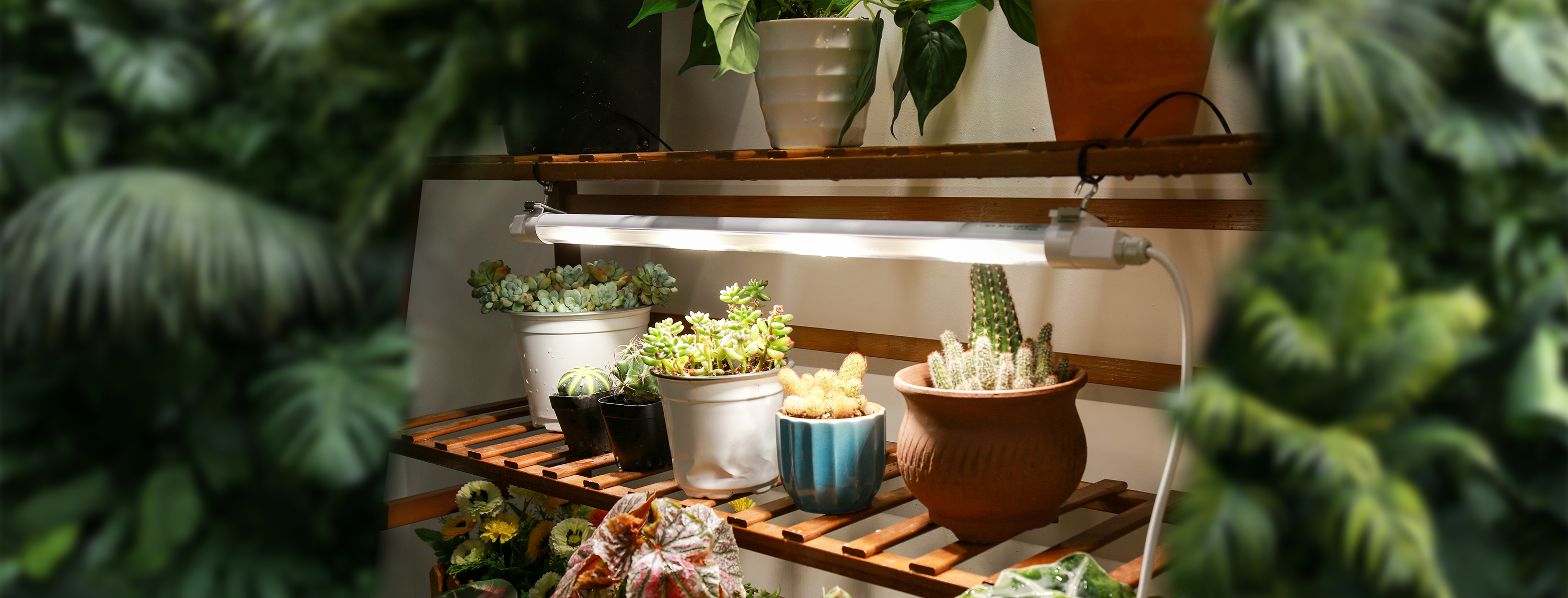 Lampada da coltivazione T8