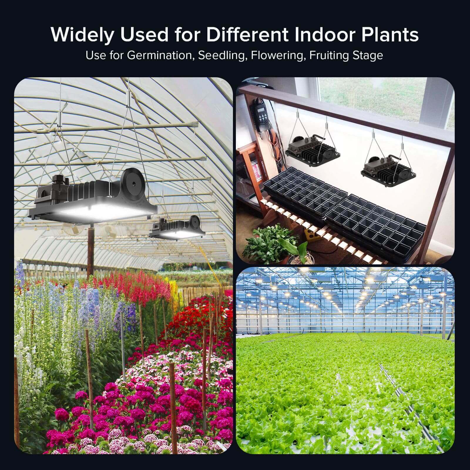 Upgraded Dimmable 70W LED Grow Light for indoor plants with widely used for different indoor plants, Use for Germination, Seedling, Flowering, Fruiting Stage.