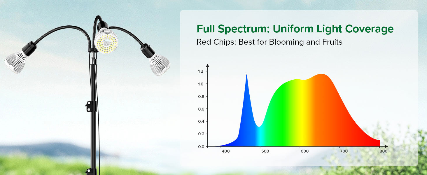 full spectrum, uniform light coverage