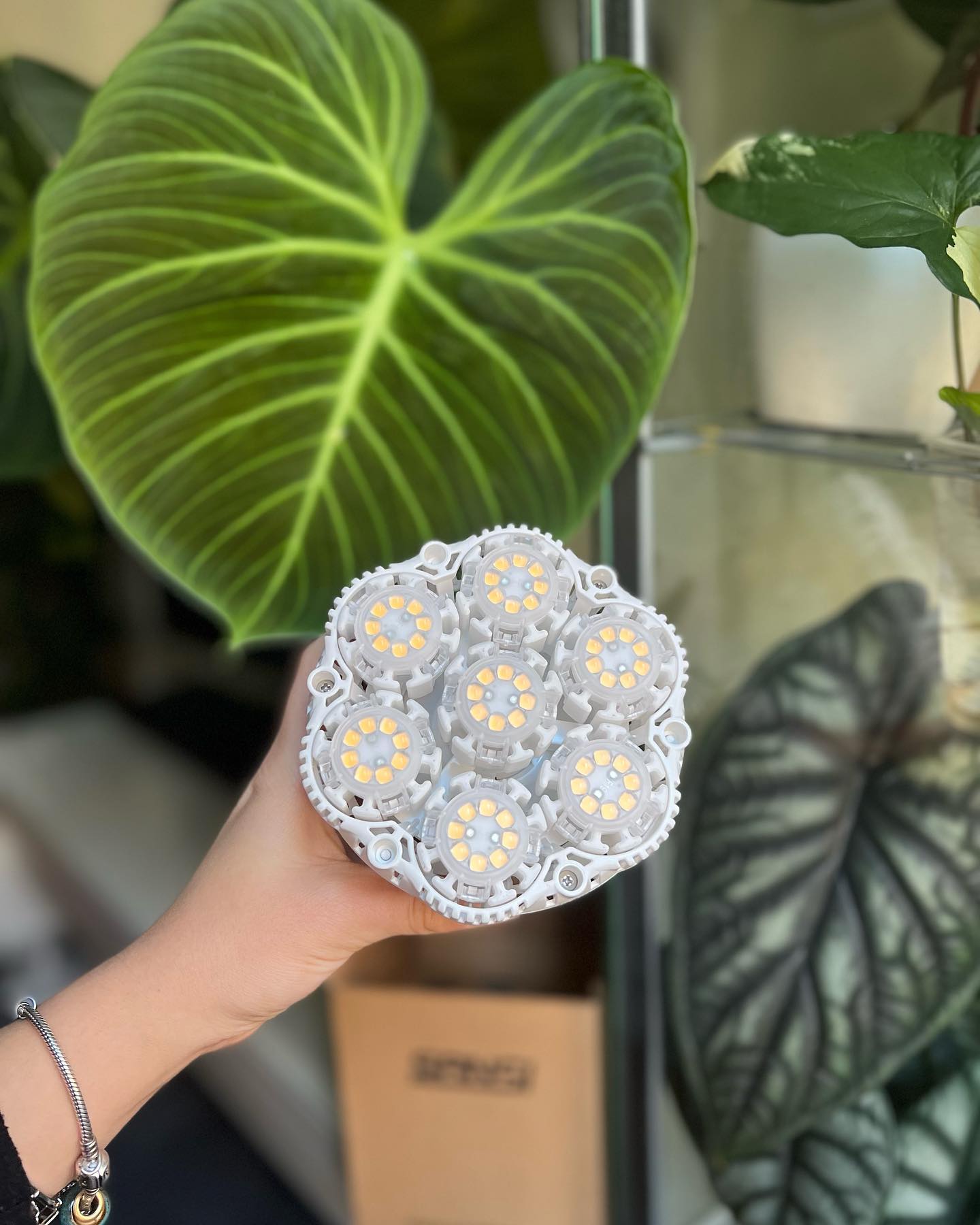 A photo shared by an influencer @mood4plants on INS，she is holding a 36W LED plant grow bulb and can clearly see the structure of the bulb bead.