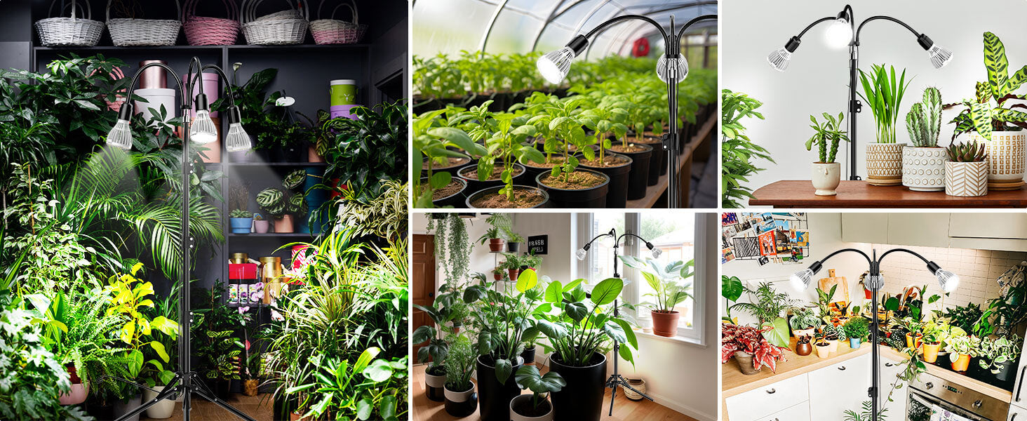 suitable for kinds of indoor places