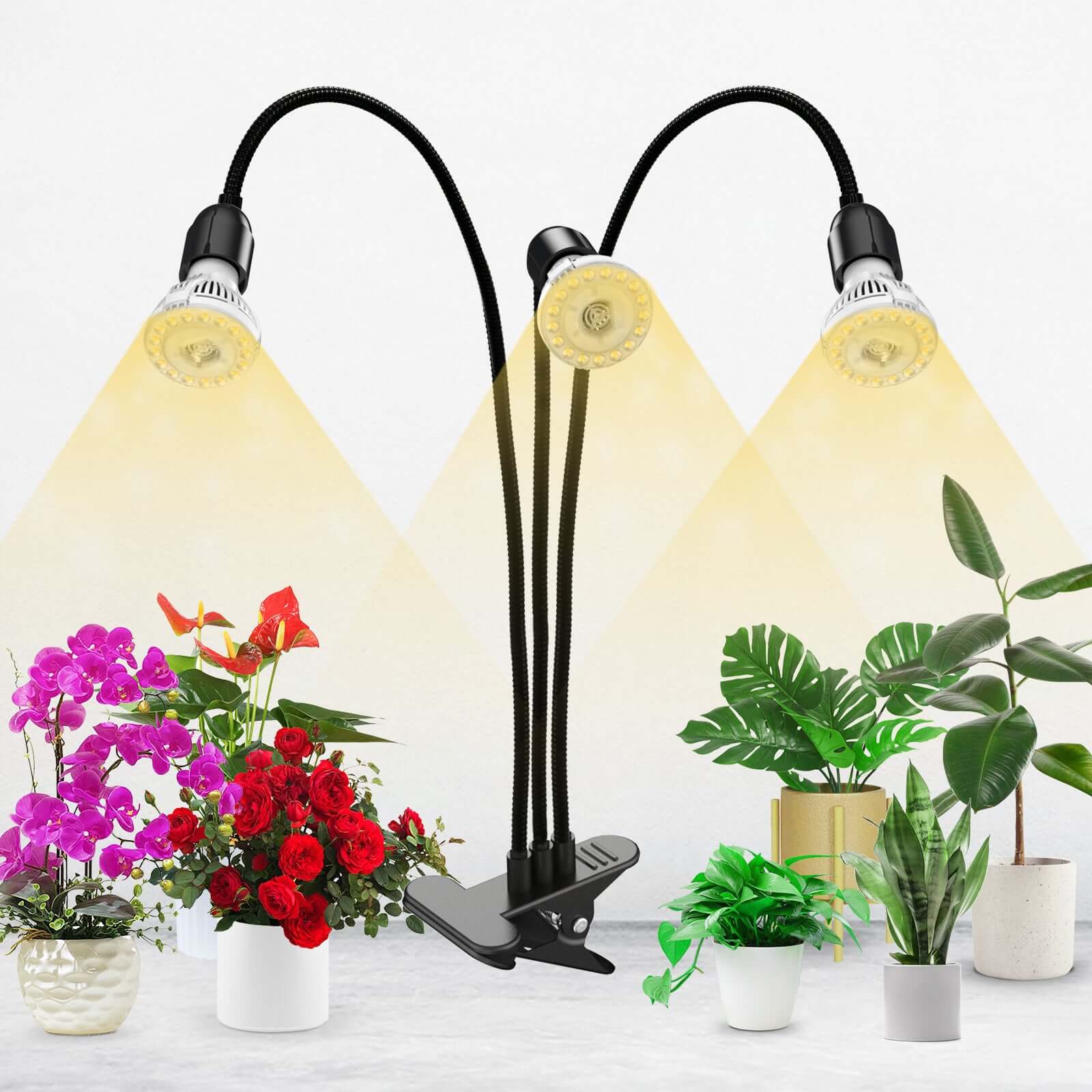 US 100W RGB+Grow Light Bundle