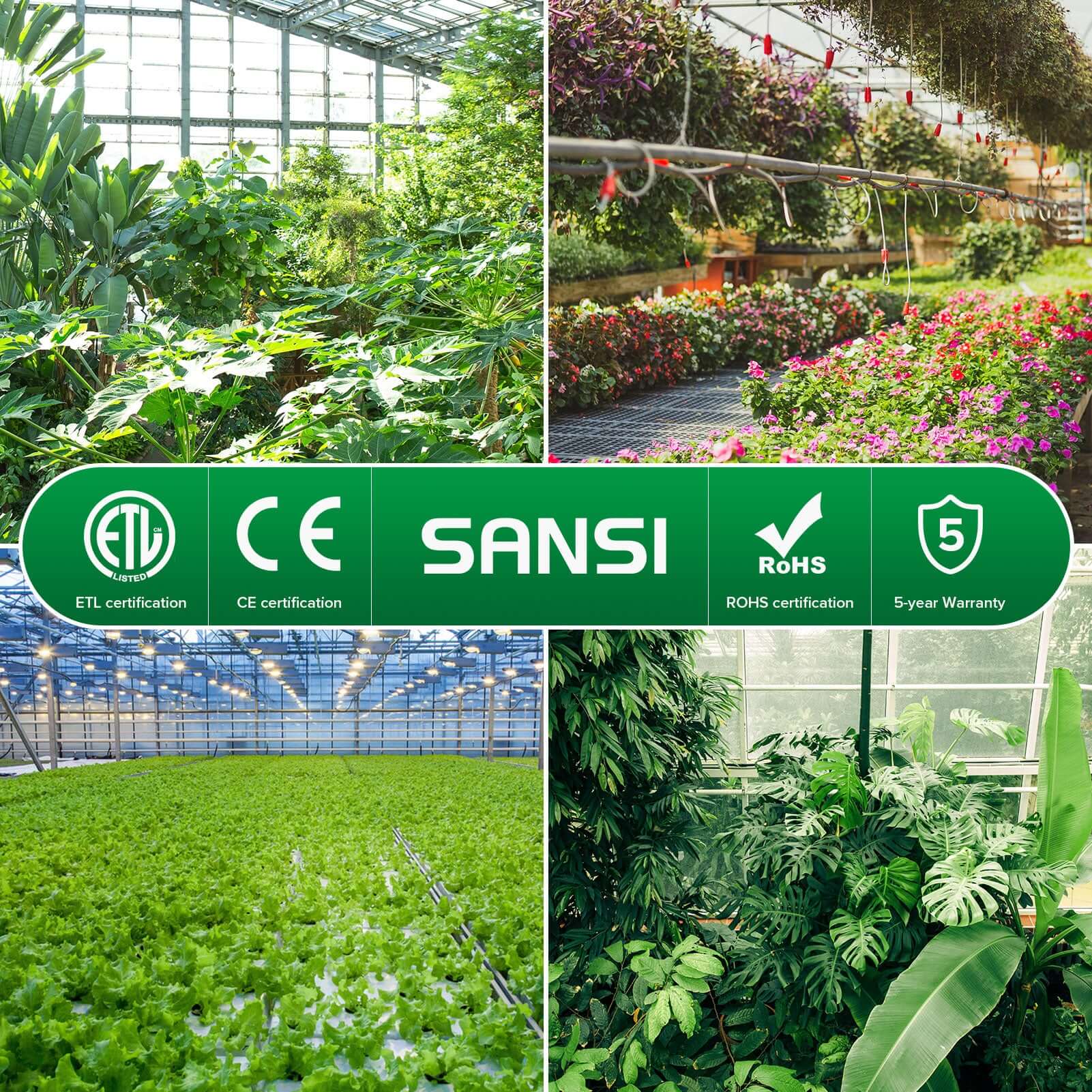 Dimmable 100W LED Grow Light for large plants indoor with ETL, CE, ROHS certification and 5-year warranty