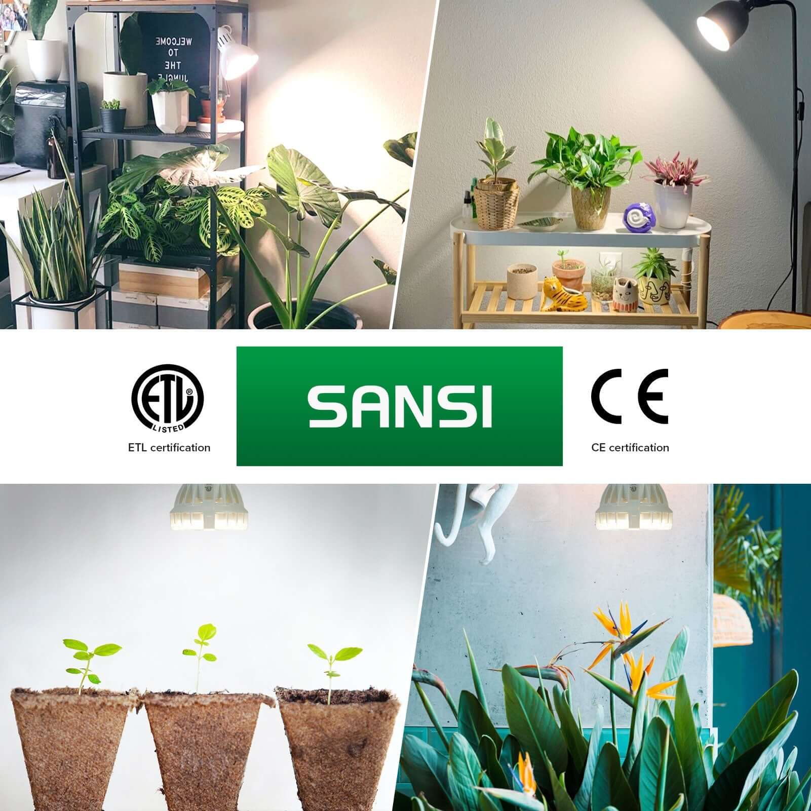 PAR20 10W LED Grow Light Bulb(1-pack)