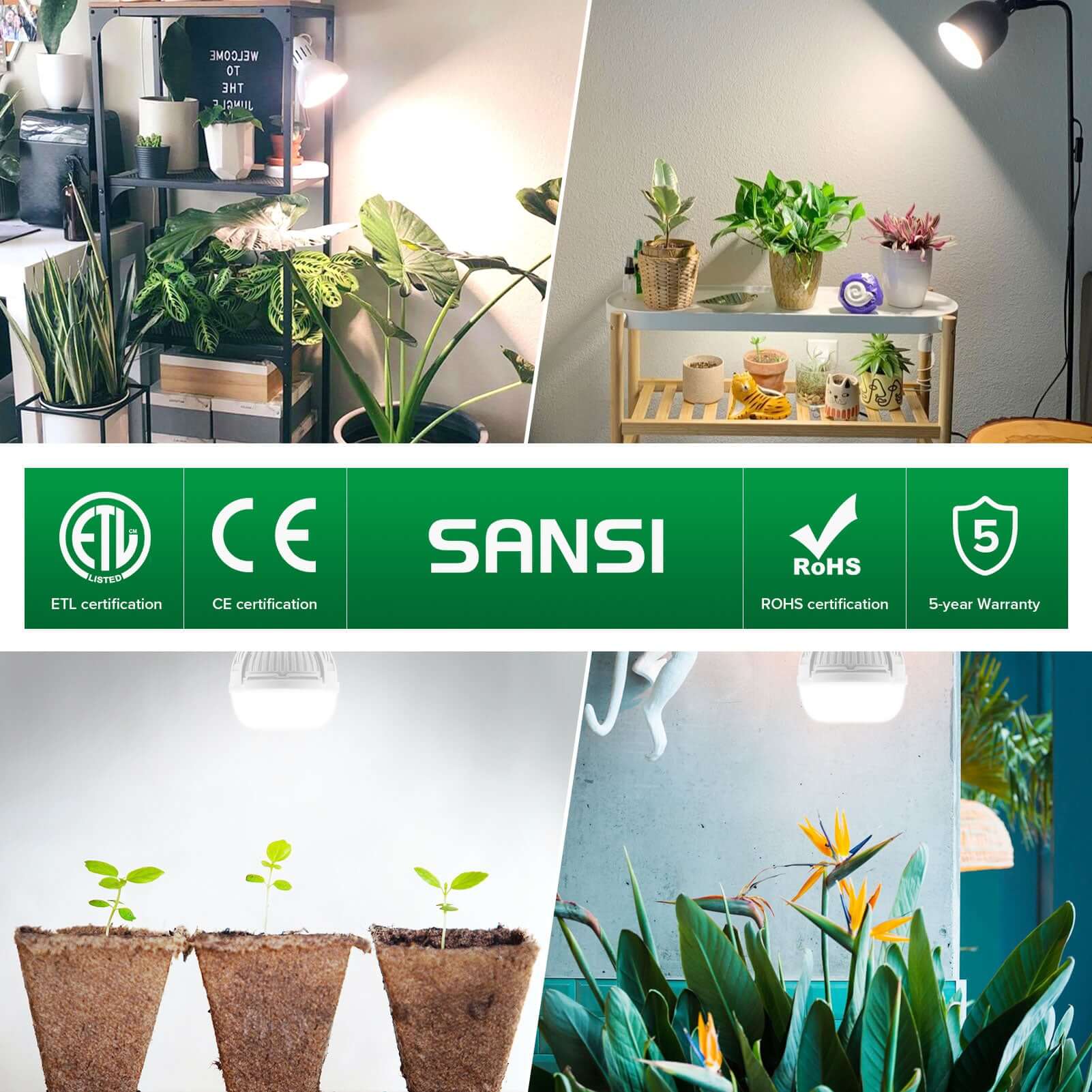 A21 15W Grow bulbs are guaranted: ETL listed & CE certification, quality and safety verified, 25,000 hours lifespan, 5 years warranty.