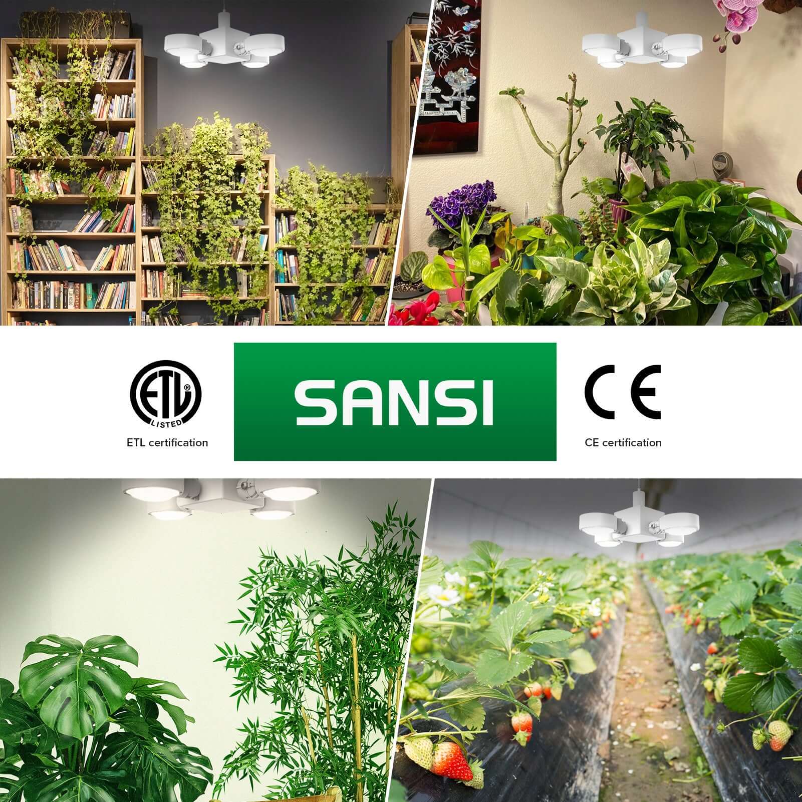 SANSI 30W LED Grow Light (Folding Wings) (US, EU Only) has ETL and CE certification.