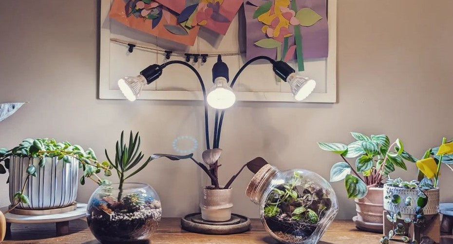 Grow Light, Light Bulb, Flood Light and More