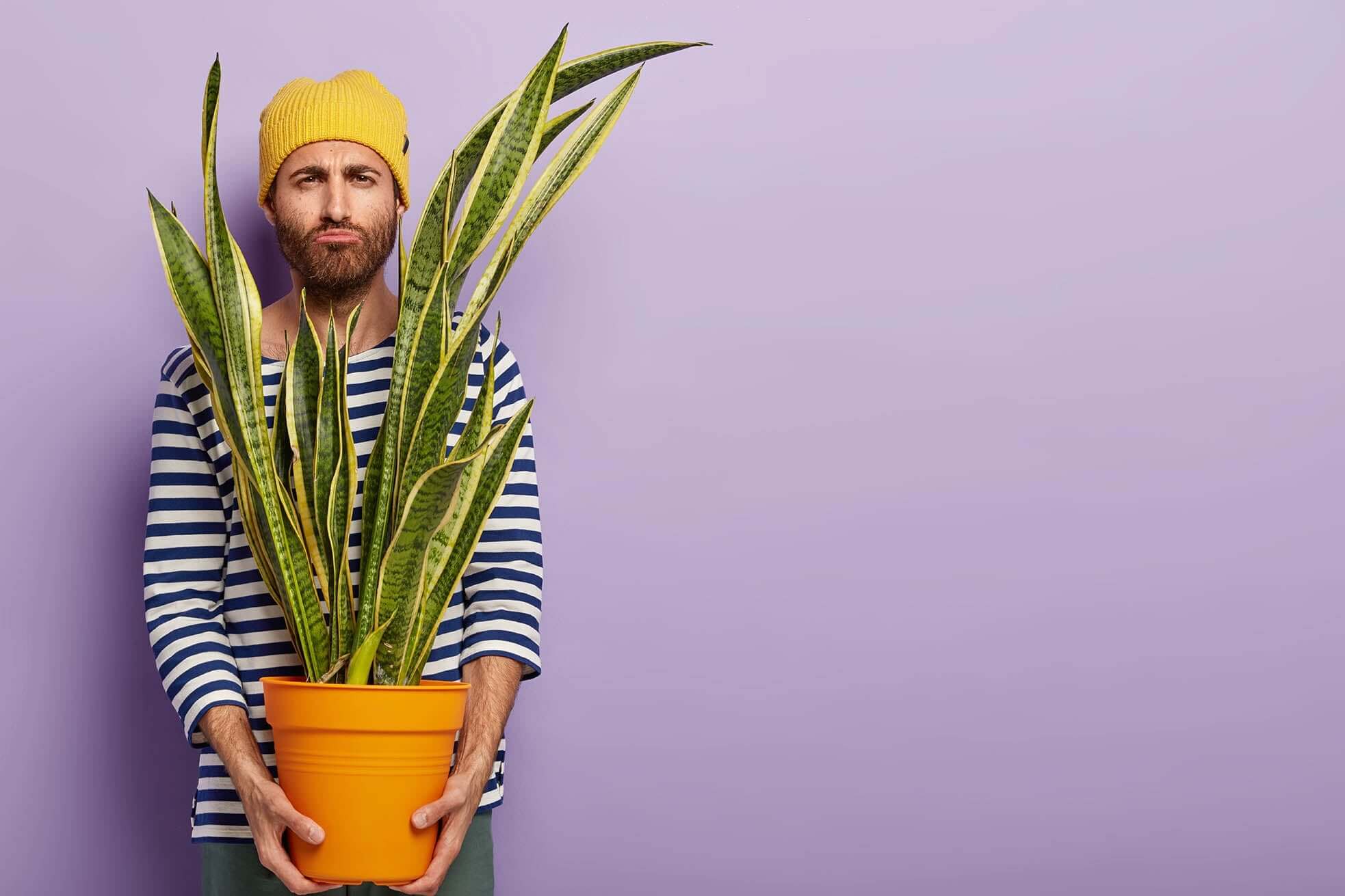 10 Tips to Keep Your Plants Happy