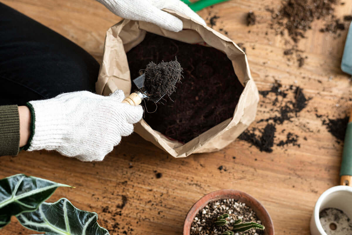 Fertilizer FAQs