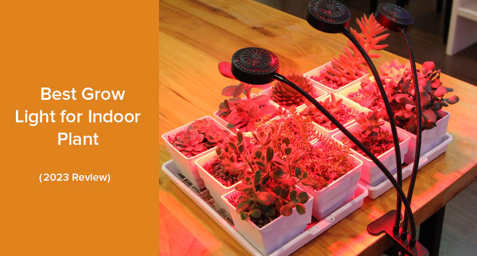 Best Grow Light for Indoor Plant (2023 Review)