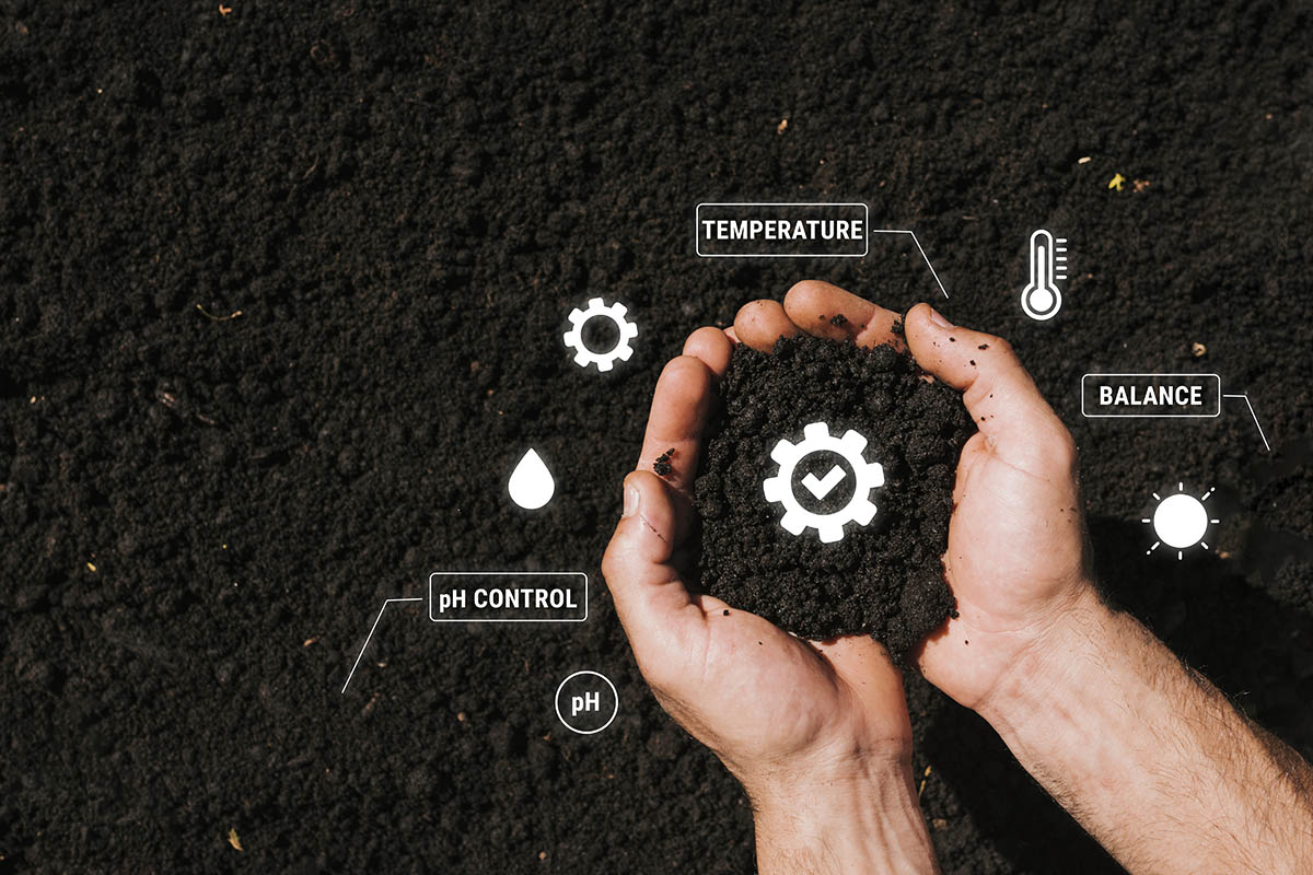 Master Fertilizer Basics