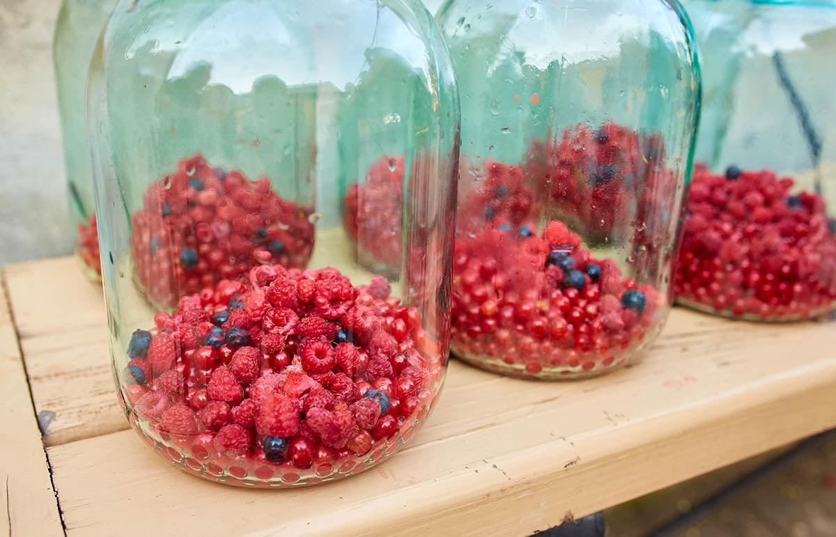 Grow a Berry Paradise in Pots and Small Spaces